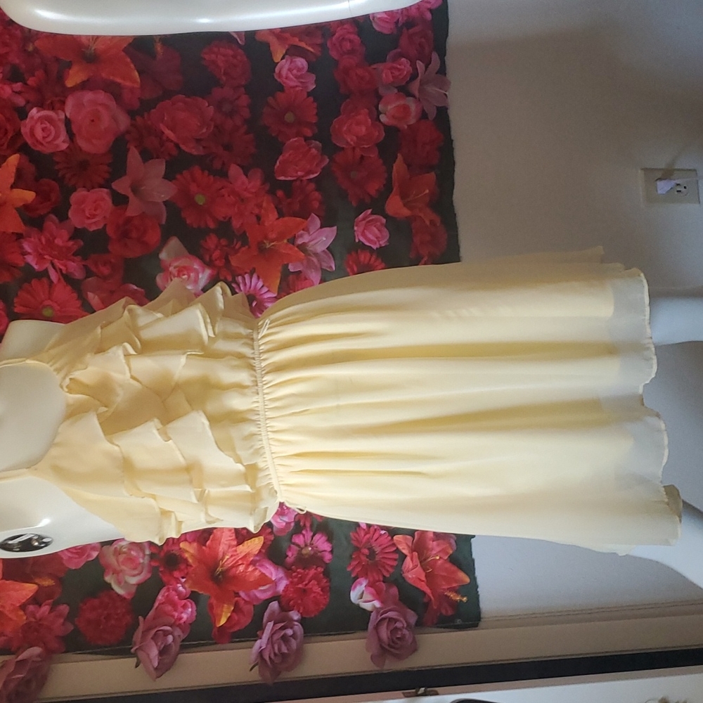 Princess Dress